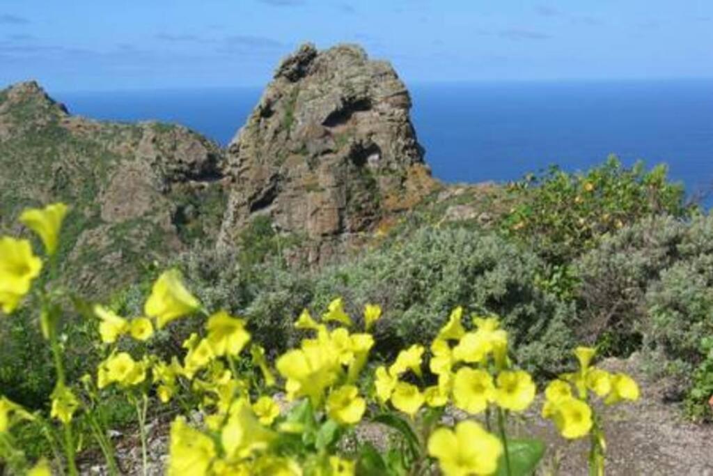 House Rural,Biosphere Reserve World.Taganana.Tfe. Santa Cruz de Tenerife Exterior foto